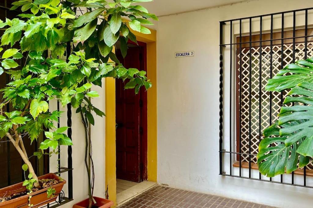Apartment Kenza